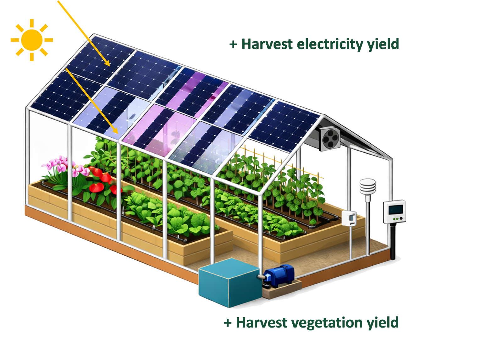 SunCube agrivoltaic greenhouse increasing both electricity and vegetation yield